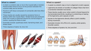 Strain Vs Sprain Primary Care Sports Medicine